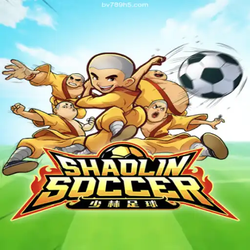 ShaolinSoccer: Mastering the Art of Soccer with Grace and Power